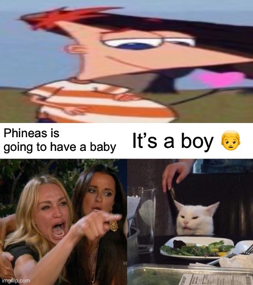 Woman Yelling At Cat | Phineas is going to have a baby; It’s a boy 👦 | image tagged in memes,woman yelling at cat | made w/ Imgflip meme maker