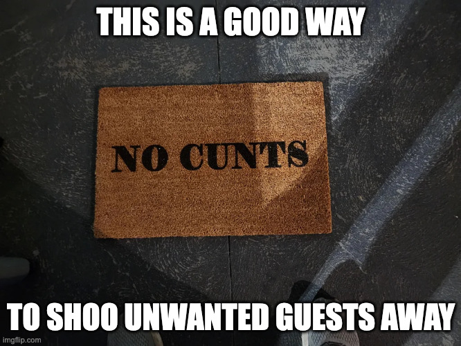 Rude Welcome Mat | THIS IS A GOOD WAY; TO SHOO UNWANTED GUESTS AWAY | image tagged in doormat,memes | made w/ Imgflip meme maker