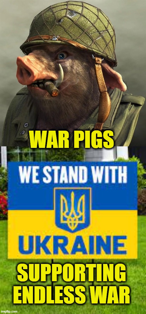 Our Military Industrial Complex Rulers | WAR PIGS; SUPPORTING
ENDLESS WAR | image tagged in ukraine | made w/ Imgflip meme maker