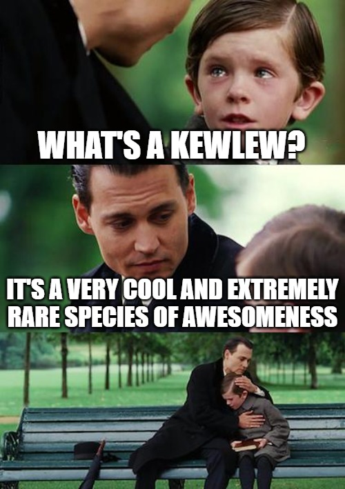 Finding Neverland | WHAT'S A KEWLEW? IT'S A VERY COOL AND EXTREMELY RARE SPECIES OF AWESOMENESS | image tagged in memes,finding neverland | made w/ Imgflip meme maker