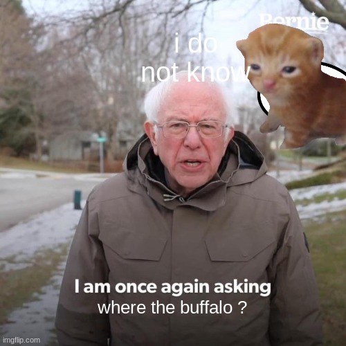 Bernie I Am Once Again Asking For Your Support | i do not know; where the buffalo ? | image tagged in memes,bernie i am once again asking for your support | made w/ Imgflip meme maker