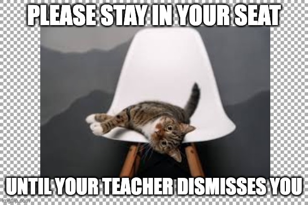Free | PLEASE STAY IN YOUR SEAT; UNTIL YOUR TEACHER DISMISSES YOU | image tagged in free | made w/ Imgflip meme maker