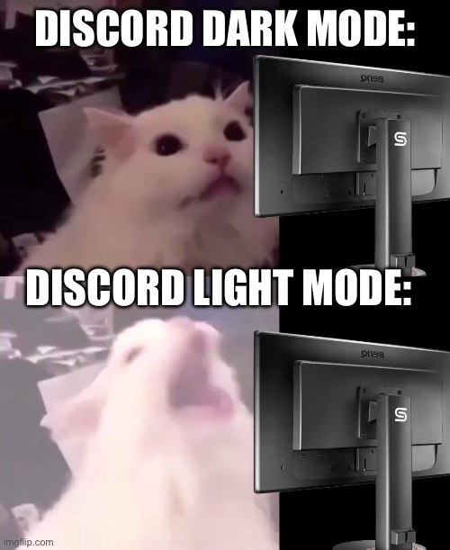 Am i wrong though? | DISCORD DARK MODE:; DISCORD LIGHT MODE: | image tagged in cat lightmode,light mode,discord,pain,why are you reading the tags | made w/ Imgflip meme maker
