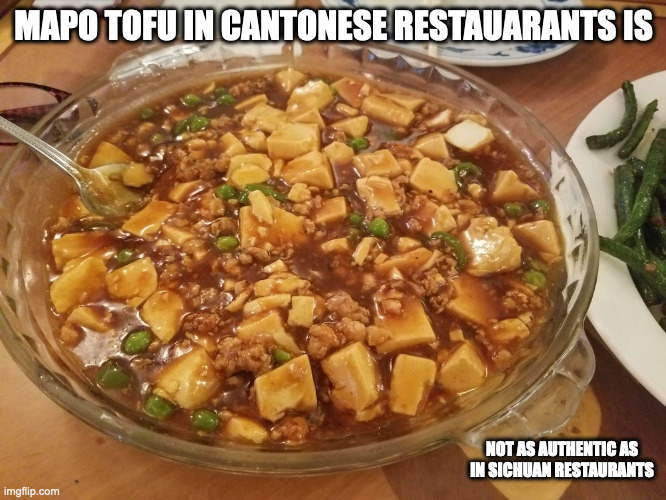 Cantonese Restaurant Mapo Tofu | MAPO TOFU IN CANTONESE RESTAUARANTS IS; NOT AS AUTHENTIC AS IN SICHUAN RESTAURANTS | image tagged in food,fotu,memes | made w/ Imgflip meme maker