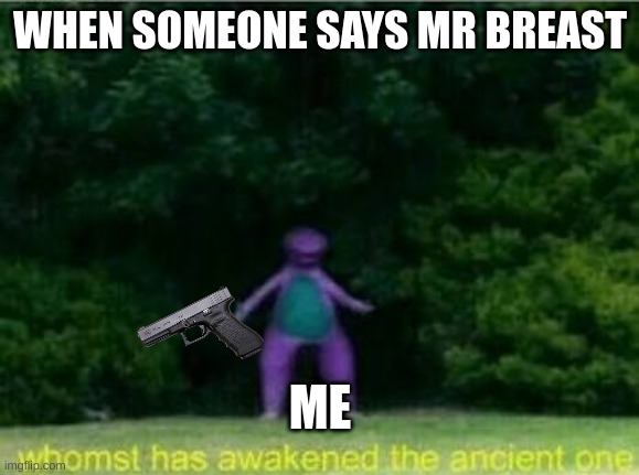 Run | WHEN SOMEONE SAYS MR BREAST; ME | image tagged in whomst has awakened the ancient one | made w/ Imgflip meme maker
