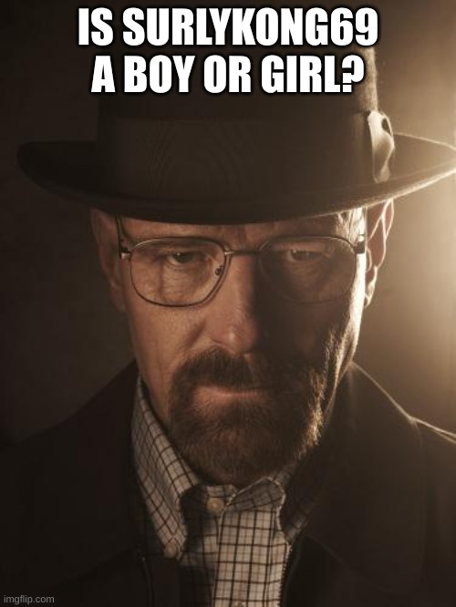 Walter White | IS SURLYKONG69 A BOY OR GIRL? | image tagged in walter white | made w/ Imgflip meme maker