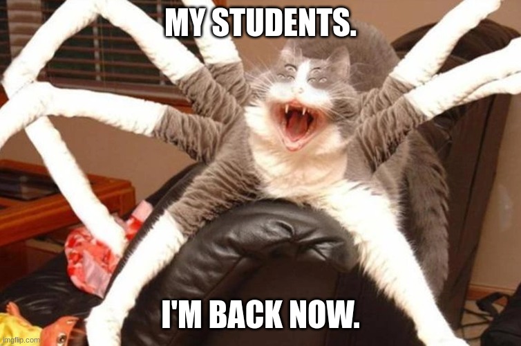 MY STUDENTS. I'M BACK NOW. | image tagged in mad cat | made w/ Imgflip meme maker