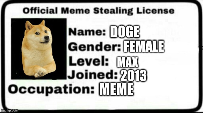 Meme Stealing License | DOGE; FEMALE; MAX; 2013; MEME | image tagged in meme stealing license | made w/ Imgflip meme maker