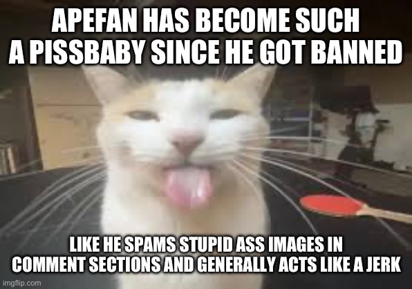 Cat | APEFAN HAS BECOME SUCH A PISSBABY SINCE HE GOT BANNED; LIKE HE SPAMS STUPID ASS IMAGES IN COMMENT SECTIONS AND GENERALLY ACTS LIKE A JERK | image tagged in cat | made w/ Imgflip meme maker