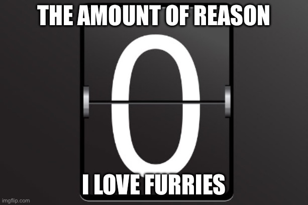 The amount of reason i love furries | THE AMOUNT OF REASON; I LOVE FURRIES | image tagged in zero counter | made w/ Imgflip meme maker