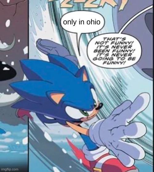 i remember rereading this panel | only in ohio | image tagged in eggman thats not funny | made w/ Imgflip meme maker
