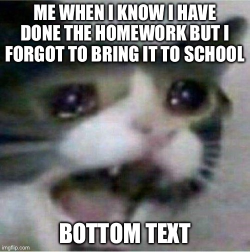 We've all done this once | ME WHEN I KNOW I HAVE DONE THE HOMEWORK BUT I FORGOT TO BRING IT TO SCHOOL; BOTTOM TEXT | image tagged in me when something | made w/ Imgflip meme maker