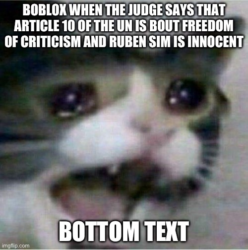 A message to boblox | BOBLOX WHEN THE JUDGE SAYS THAT ARTICLE 10 OF THE UN IS BOUT FREEDOM OF CRITICISM AND RUBEN SIM IS INNOCENT; BOTTOM TEXT | image tagged in me when something | made w/ Imgflip meme maker