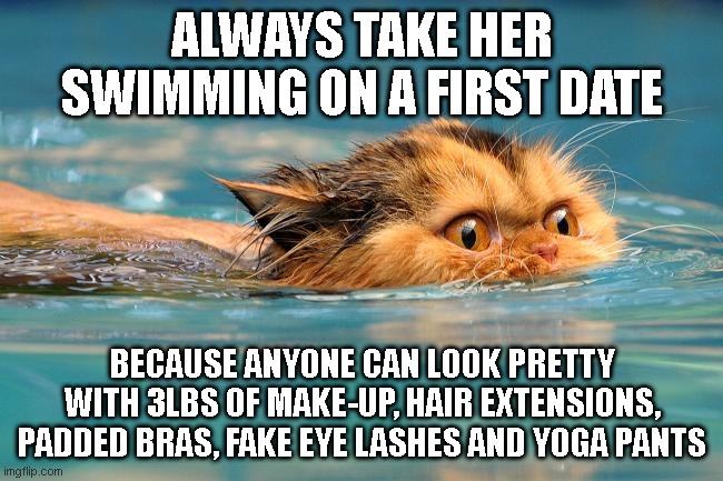 I mean she already lost 2 points once she didn't have the instagram filter to hide behind... | ALWAYS TAKE HER SWIMMING ON A FIRST DATE; BECAUSE ANYONE CAN LOOK PRETTY WITH 3LBS OF MAKE-UP, HAIR EXTENSIONS, PADDED BRAS, FAKE EYE LASHES AND YOGA PANTS | image tagged in swimming cat | made w/ Imgflip meme maker