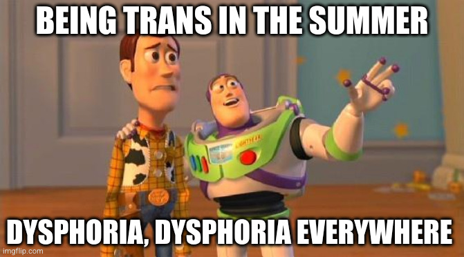 Buzz And Woody | BEING TRANS IN THE SUMMER; DYSPHORIA, DYSPHORIA EVERYWHERE | image tagged in buzz and woody | made w/ Imgflip meme maker
