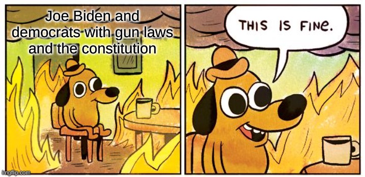 This Is Fine Meme | Joe Biden and democrats with gun laws and the constitution | image tagged in memes,this is fine | made w/ Imgflip meme maker