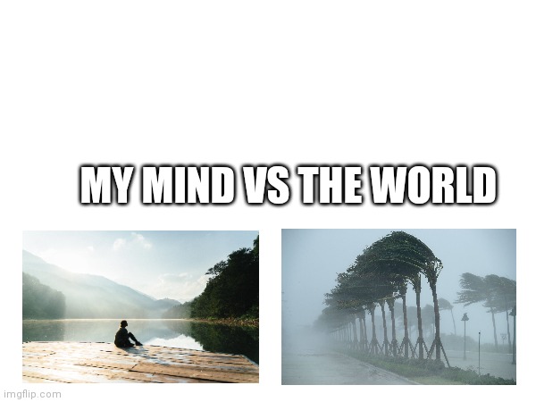 For real | MY MIND VS THE WORLD | image tagged in deep state | made w/ Imgflip meme maker