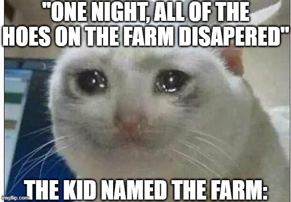 Can you relate? | "ONE NIGHT, ALL OF THE HOES ON THE FARM DISAPPEARED"; THE KID NAMED THE FARM: | image tagged in crying cat,funny,funny memes,fun,memes,relatable | made w/ Imgflip meme maker