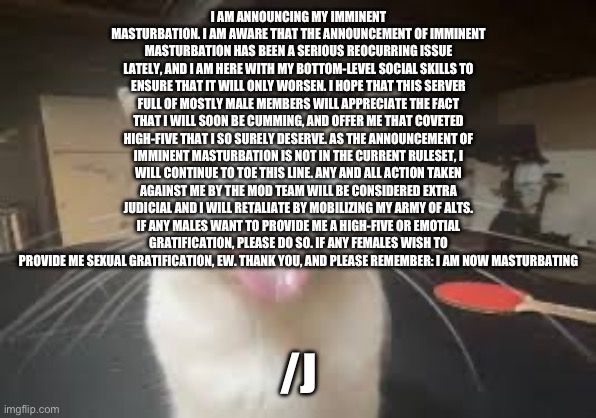 Cat | I AM ANNOUNCING MY IMMINENT MASTURBATION. I AM AWARE THAT THE ANNOUNCEMENT OF IMMINENT MASTURBATION HAS BEEN A SERIOUS REOCURRING ISSUE LATELY, AND I AM HERE WITH MY BOTTOM-LEVEL SOCIAL SKILLS TO ENSURE THAT IT WILL ONLY WORSEN. I HOPE THAT THIS SERVER FULL OF MOSTLY MALE MEMBERS WILL APPRECIATE THE FACT THAT I WILL SOON BE CUMMING, AND OFFER ME THAT COVETED HIGH-FIVE THAT I SO SURELY DESERVE. AS THE ANNOUNCEMENT OF IMMINENT MASTURBATION IS NOT IN THE CURRENT RULESET, I WILL CONTINUE TO TOE THIS LINE. ANY AND ALL ACTION TAKEN AGAINST ME BY THE MOD TEAM WILL BE CONSIDERED EXTRA JUDICIAL AND I WILL RETALIATE BY MOBILIZING MY ARMY OF ALTS. IF ANY MALES WANT TO PROVIDE ME A HIGH-FIVE OR EMOTIAL GRATIFICATION, PLEASE DO SO. IF ANY FEMALES WISH TO PROVIDE ME SEXUAL GRATIFICATION, EW. THANK YOU, AND PLEASE REMEMBER: I AM NOW MASTURBATING; /J | image tagged in cat | made w/ Imgflip meme maker