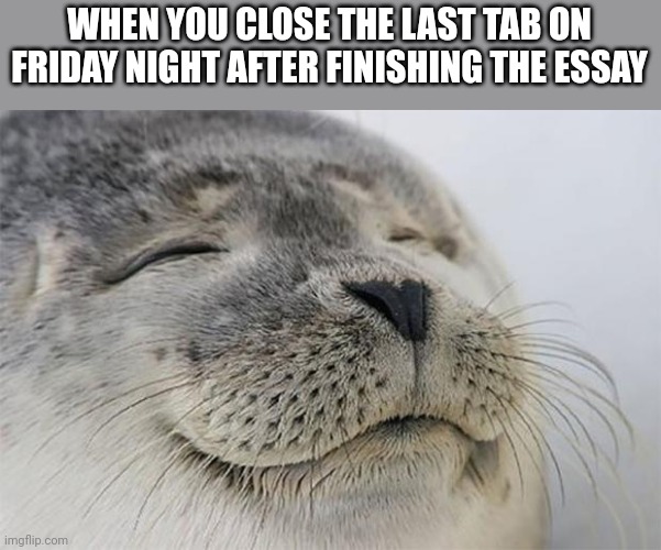 Satisfied Seal | WHEN YOU CLOSE THE LAST TAB ON FRIDAY NIGHT AFTER FINISHING THE ESSAY | image tagged in memes,satisfied seal | made w/ Imgflip meme maker