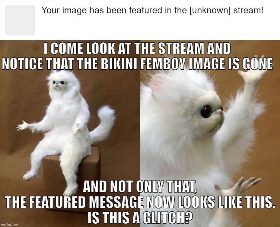 It's like someone used The Hand to erase it from existence. xD | I COME LOOK AT THE STREAM AND NOTICE THAT THE BIKINI FEMBOY IMAGE IS GONE; AND NOT ONLY THAT,
THE FEATURED MESSAGE NOW LOOKS LIKE THIS.
IS THIS A GLITCH? | image tagged in memes,persian cat room guardian | made w/ Imgflip meme maker