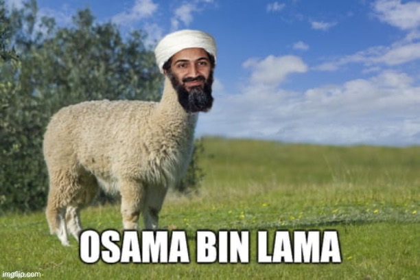 Osama bin lama | image tagged in memes,funny,dark humor,osama bin laden,offensive | made w/ Imgflip meme maker