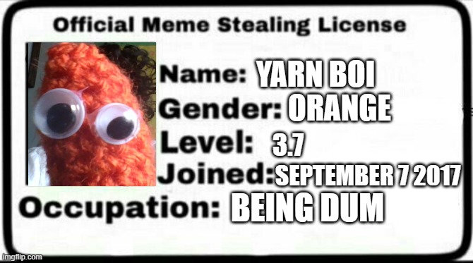 Yarn bois license | YARN BOI; ORANGE; 3.7; SEPTEMBER 7 2017; BEING DUM | image tagged in meme stealing license | made w/ Imgflip meme maker