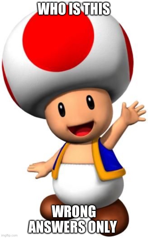 Toad | WHO IS THIS; WRONG ANSWERS ONLY | image tagged in toad | made w/ Imgflip meme maker