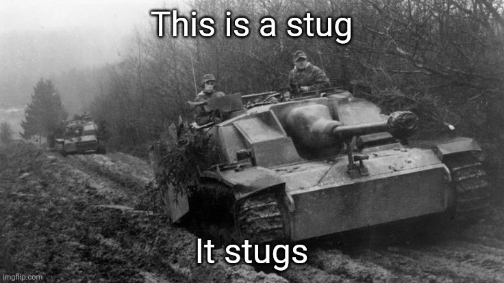 Stug III | This is a stug; It stugs | image tagged in stug iii | made w/ Imgflip meme maker