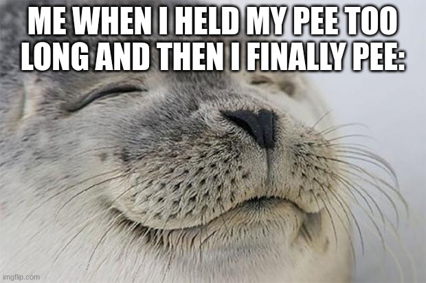 true | ME WHEN I HELD MY PEE TOO LONG AND THEN I FINALLY PEE: | image tagged in memes,satisfied seal | made w/ Imgflip meme maker
