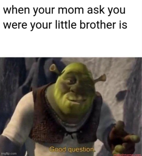 *hides his toy (the evidence)* | image tagged in siblings,shrek,shrek good question | made w/ Imgflip meme maker