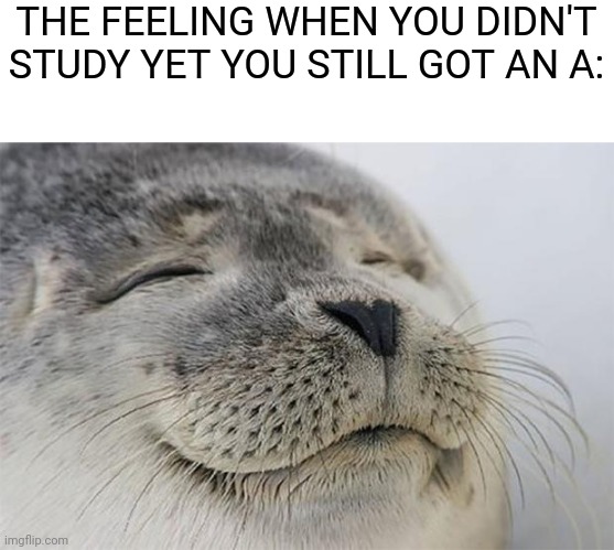 It's very relieving | THE FEELING WHEN YOU DIDN'T STUDY YET YOU STILL GOT AN A: | image tagged in memes,satisfied seal,school | made w/ Imgflip meme maker