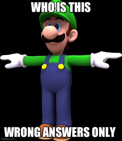 Luigi T Pose | WHO IS THIS; WRONG ANSWERS ONLY | image tagged in luigi t pose | made w/ Imgflip meme maker