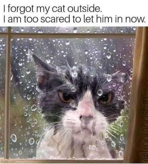 image tagged in memes,funny | made w/ Imgflip meme maker
