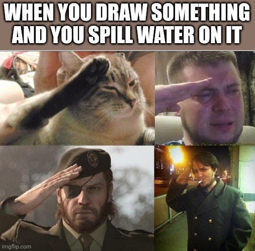 To all the 7 yo out there | WHEN YOU DRAW SOMETHING AND YOU SPILL WATER ON IT | image tagged in ozon's salute | made w/ Imgflip meme maker