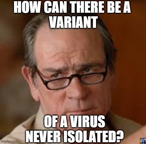 ? | HOW CAN THERE BE A 
VARIANT; OF A VIRUS
NEVER ISOLATED? | image tagged in my face when someone asks a stupid question,covidiots,masks,vaccines | made w/ Imgflip meme maker