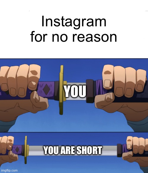 Unsheathing Sword | Instagram for no reason; YOU; YOU ARE SHORT | image tagged in unsheathing sword | made w/ Imgflip meme maker