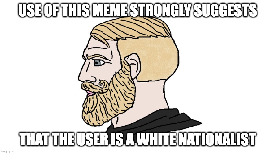 USE OF THIS MEME STRONGLY SUGGESTS; THAT THE USER IS A WHITE NATIONALIST | made w/ Imgflip meme maker