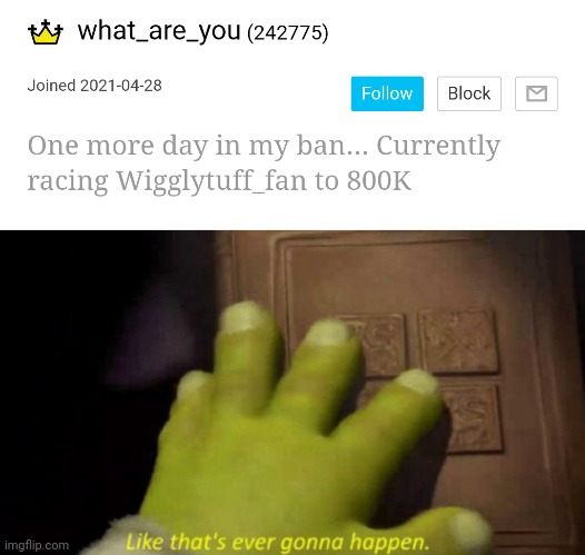 Bro thinks we're racing | image tagged in like that's ever gonna happen | made w/ Imgflip meme maker