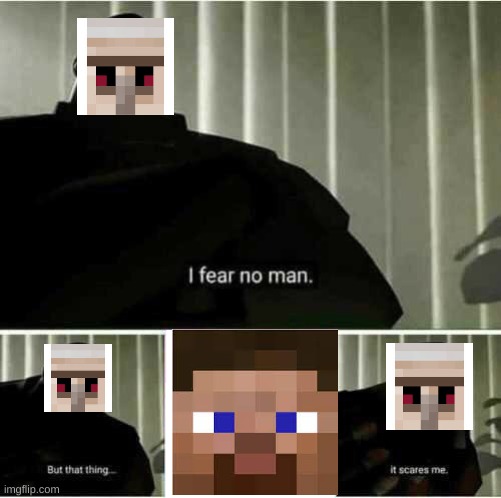 true | image tagged in i fear no man,minecraft | made w/ Imgflip meme maker