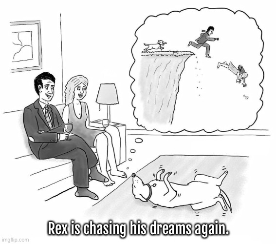 Your dream | Rex is chasing his dreams again. | image tagged in chase your dream,dog,cliff,comics | made w/ Imgflip meme maker