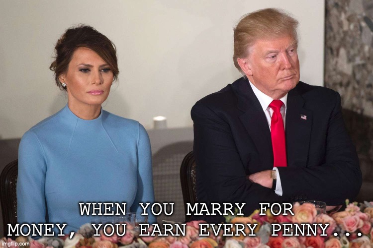 Melania Trump | WHEN YOU MARRY FOR MONEY, YOU EARN EVERY PENNY... | image tagged in donald trump | made w/ Imgflip meme maker