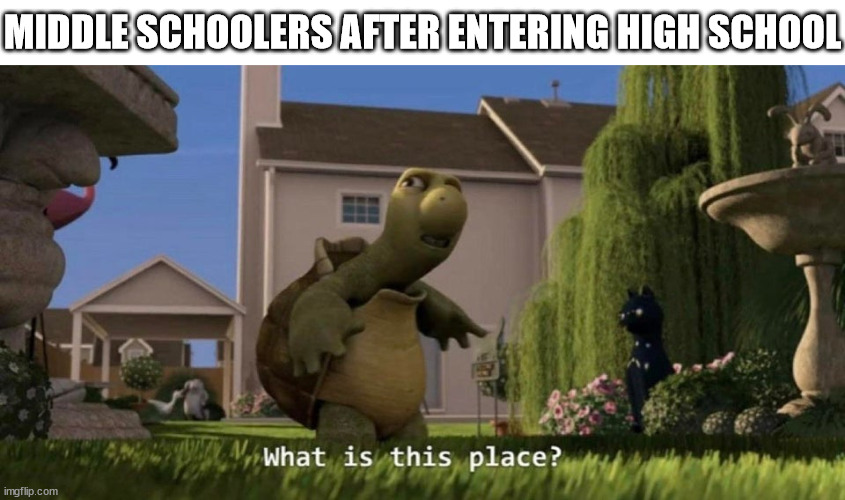what is this place | MIDDLE SCHOOLERS AFTER ENTERING HIGH SCHOOL | image tagged in what is this place,middle school,high school,school,school meme,school memes | made w/ Imgflip meme maker