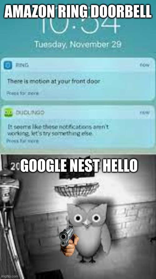 duolingo at the front | AMAZON RING DOORBELL; GOOGLE NEST HELLO | image tagged in duolingo at the front | made w/ Imgflip meme maker