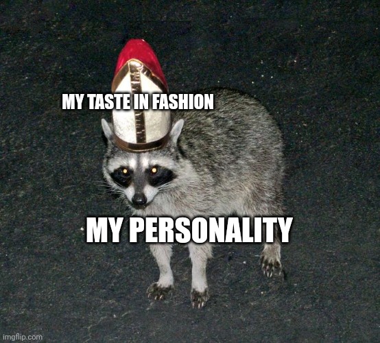 Good fashion but weird personality | MY TASTE IN FASHION; MY PERSONALITY | image tagged in pope raccoon | made w/ Imgflip meme maker