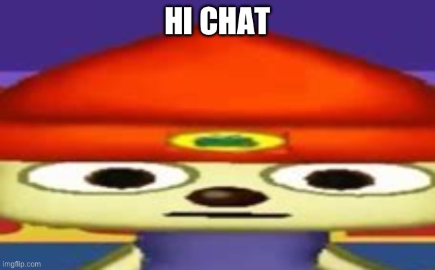 Unsettled Parappa | HI CHAT | image tagged in unsettled parappa | made w/ Imgflip meme maker