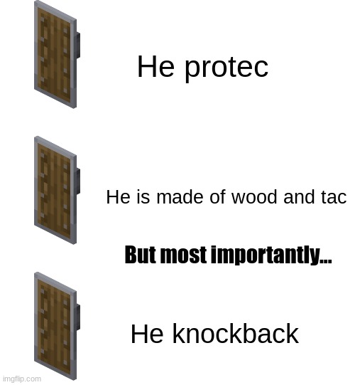 A remake of The-Rats-Made-Me-Crazy's meme. | He protec; He is made of wood and tac; But most importantly... He knockback | image tagged in minecraft,memes,shield | made w/ Imgflip meme maker