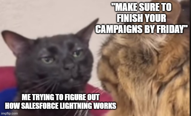 Black cat zoning out | "MAKE SURE TO FINISH YOUR CAMPAIGNS BY FRIDAY"; ME TRYING TO FIGURE OUT HOW SALESFORCE LIGHTNING WORKS | image tagged in black cat zoning out | made w/ Imgflip meme maker