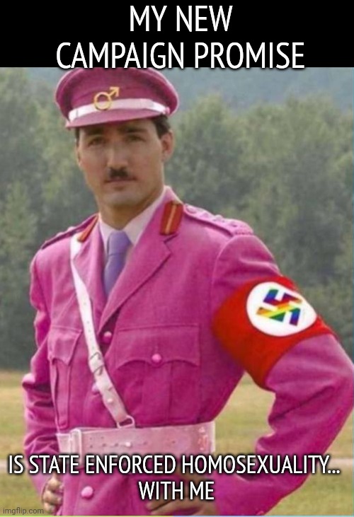 Trudeau is open to your submissions | MY NEW CAMPAIGN PROMISE; IS STATE ENFORCED HOMOSEXUALITY... 
WITH ME | image tagged in gay nazi trudeau,trudy,closeted | made w/ Imgflip meme maker