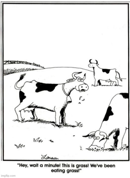 . | image tagged in comics | made w/ Imgflip meme maker